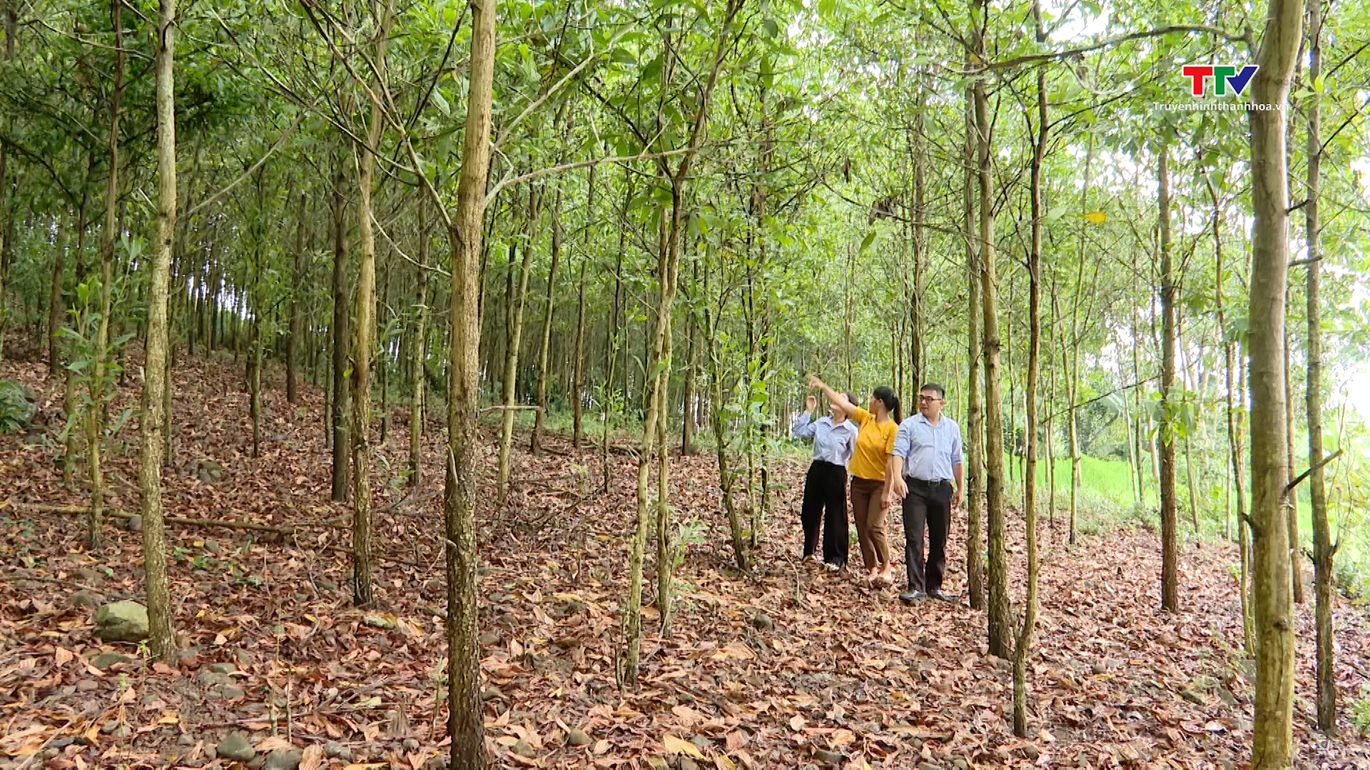 Điểm sáng thu hút vốn đầu tư nước ngoài vào lĩnh vực Tài chính Vi mô tại Thanh Hóa- Ảnh 2.