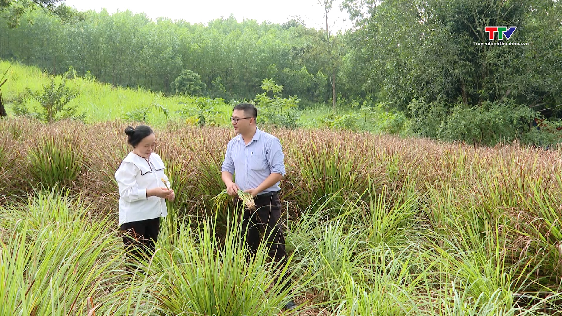 Điểm sáng thu hút vốn đầu tư nước ngoài vào lĩnh vực Tài chính Vi mô tại Thanh Hóa- Ảnh 1.