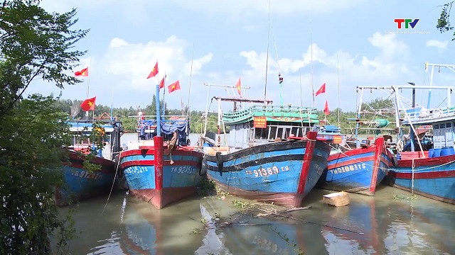 Quyết liệt triển khai đồng bộ các giải pháp chống khai thác thủy hải sản bất hợp pháp- Ảnh 1.