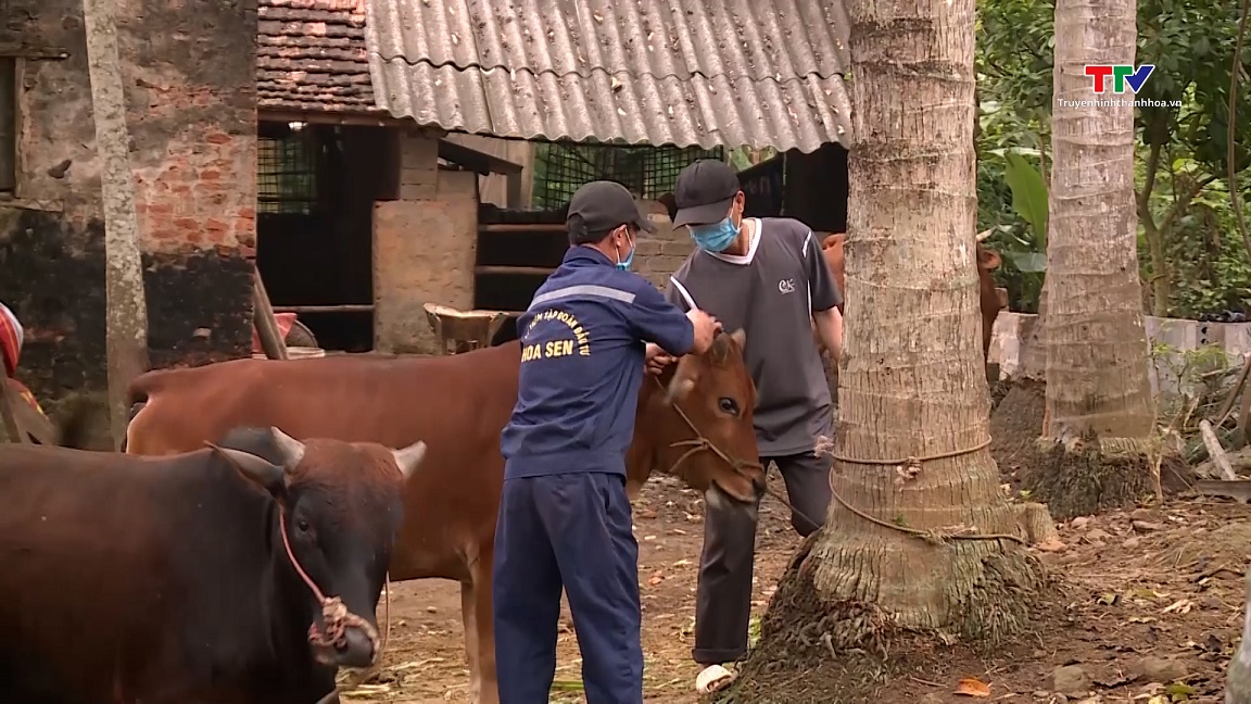 Phòng dịch cho đàn vật nuôi thời điểm giao mùa- Ảnh 2.