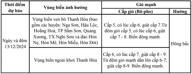 Dự báo gió mạnh trên vùng biển khu vực tỉnh Thanh Hóa ngày 13/12- Ảnh 1.