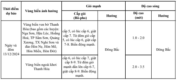 Cảnh báo, dự báo sóng lớn trên vùng biển Thanh Hóa ngày 13/12- Ảnh 1.