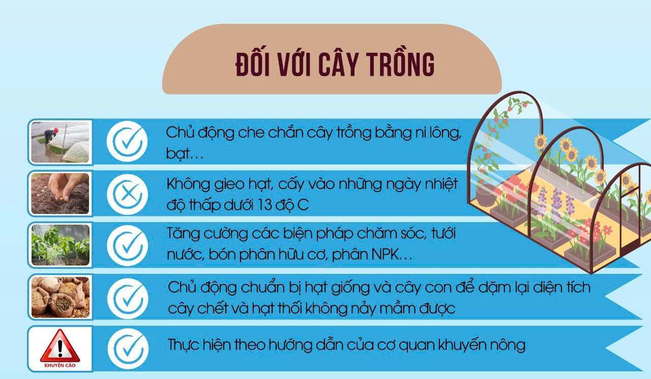 Khuyến cáo các biện pháp phòng, chống rét đậm rét hại- Ảnh 3.