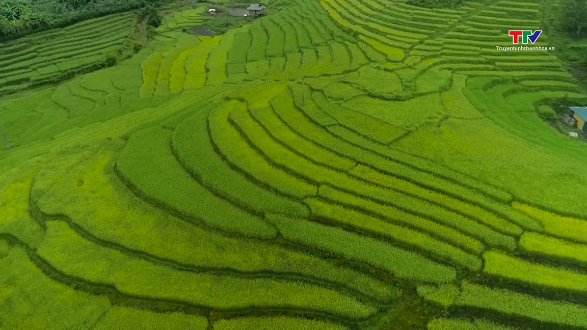 Quê hương tươi đẹp- Ảnh 2.