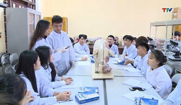 Đào tạo nguồn nhân lực cho ngành nông nghiệp- Ảnh 4.