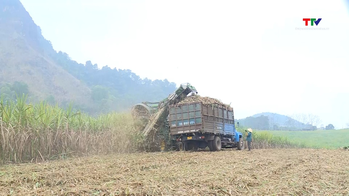 Hành động cho tăng trưởng xanh bền vững- Ảnh 1.