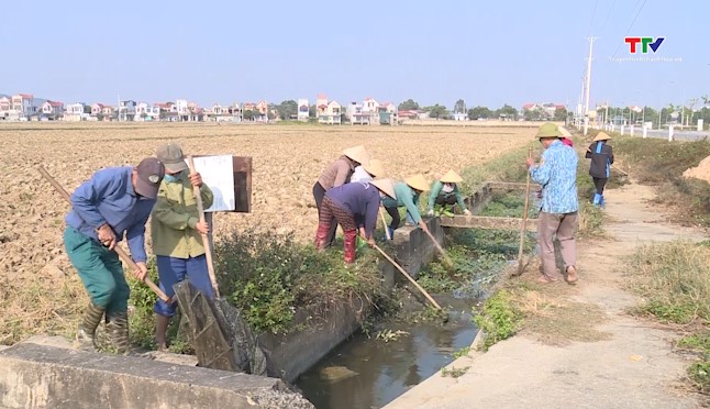 Hoằng Hóa làm thủy lợi mùa khô, sẵn sàng sản xuất vụ chiêm xuân- Ảnh 1.