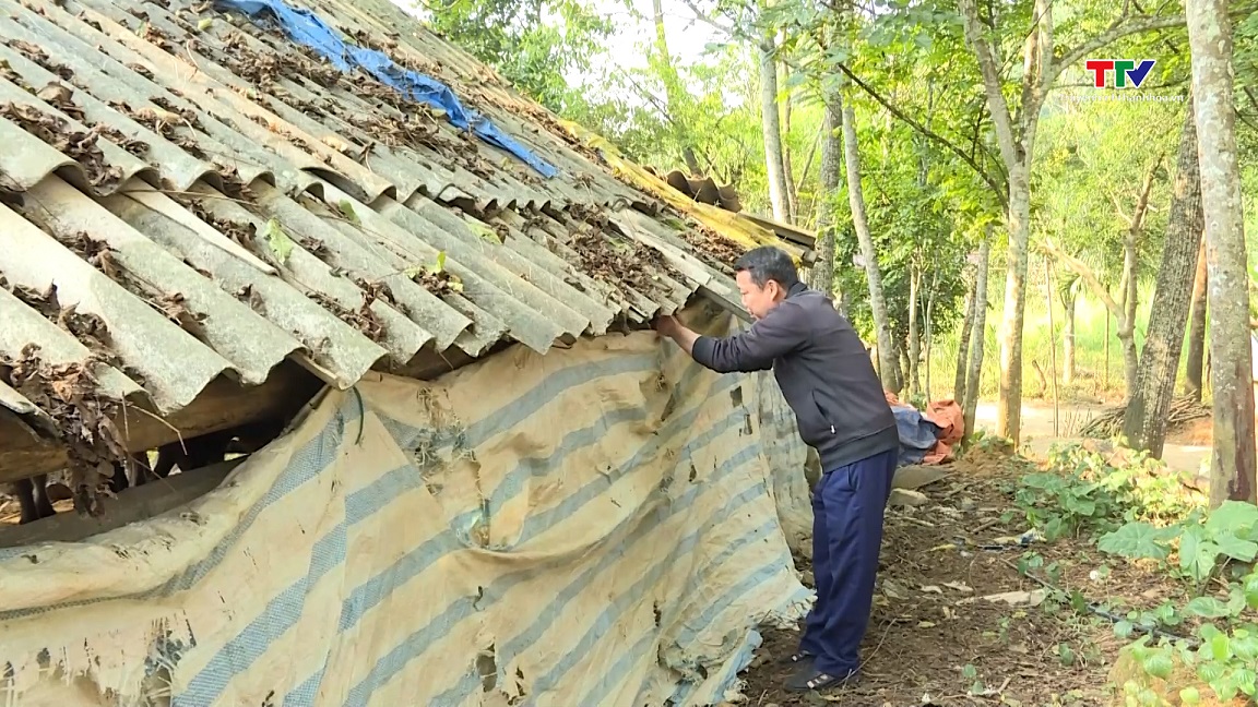 Tăng cường biện pháp phòng, chống đói, rét cho đàn vật nuôi - Ảnh 1.