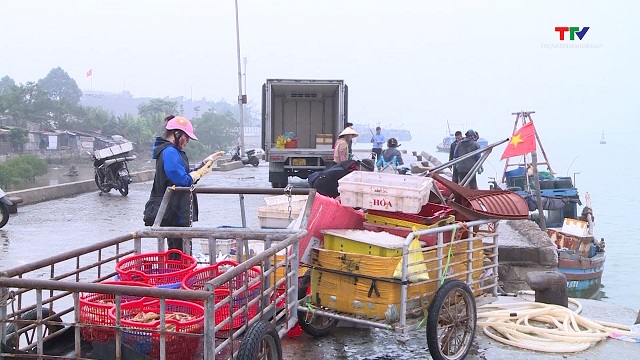 Năm 2024: Khai thác thủy sản tỉnh Thanh Hóa đạt trên 140.000 tấn- Ảnh 1.