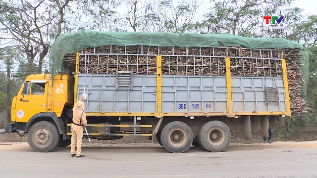 Tăng cường kiểm soát tải trọng xe chở mía trên các tuyến Quốc lộ- Ảnh 1.