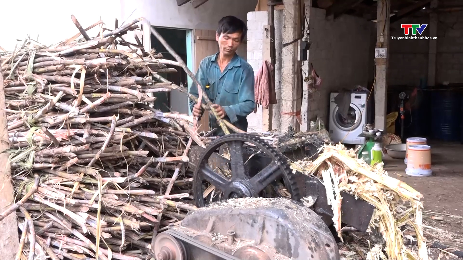 Làng nghề mật mía Thạch Thành tất bật vào vụ Tết- Ảnh 3.