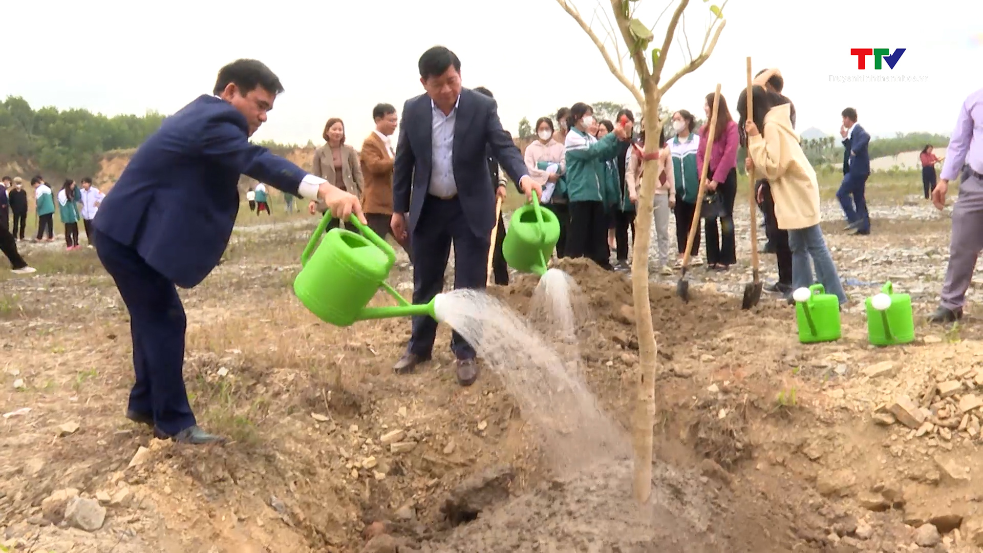 Thị xã Bỉm Sơn trồng 150.000 cây dịp Tết trồng cây- Ảnh 1.