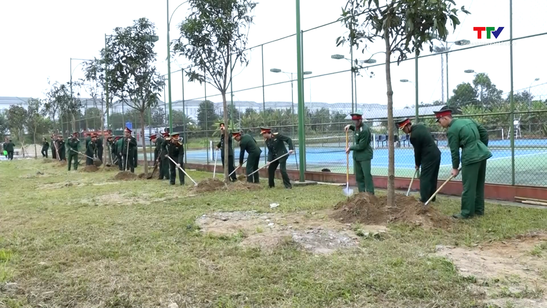 Bộ Chỉ huy quân sự tỉnh chào cờ và hưởng ứng Tết trồng cây năm 2024- Ảnh 1.