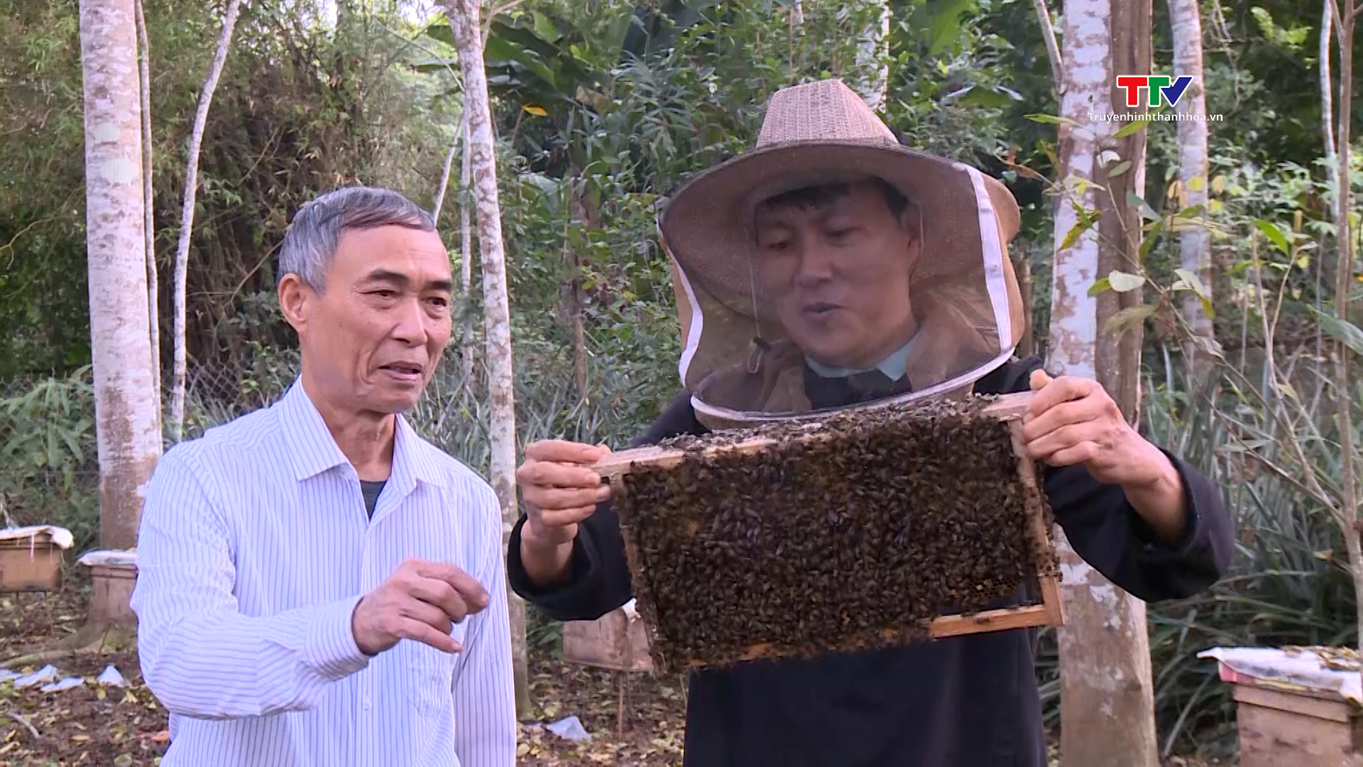 Công nghệ hạ thủy phân trong sản xuất mật ong- Ảnh 1.
