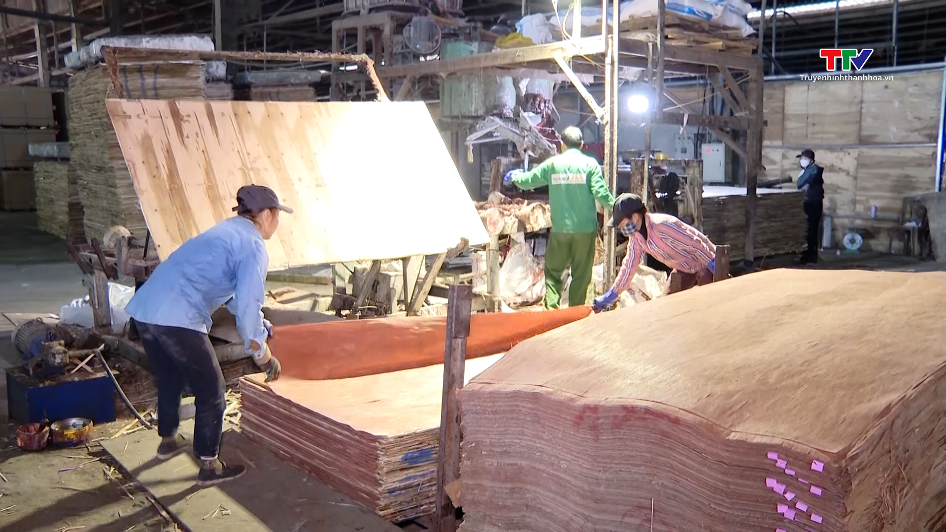 Ngành gỗ Thanh Hoá nỗ lực tìm thị trường, đẩy mạnh xuất khẩu- Ảnh 6.