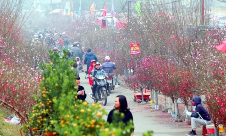 Dự báo thời tiết khu vực tỉnh Thanh Hóa trong dịp Tết Nguyên đán Giáp Thìn- Ảnh 1.