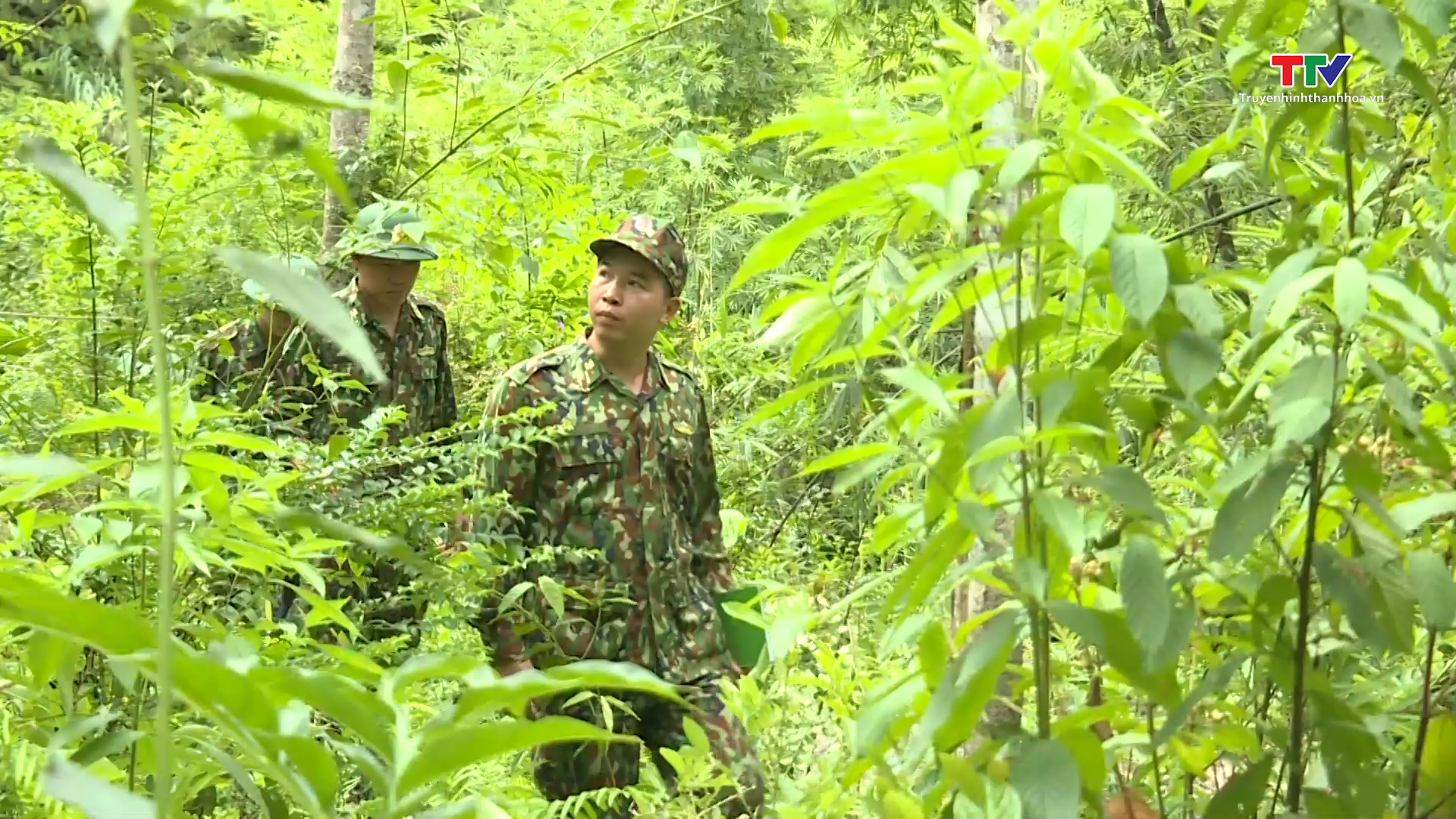 Lực lượng Kiểm lâm bám địa bàn bảo vệ rừng những ngày Tết- Ảnh 1.