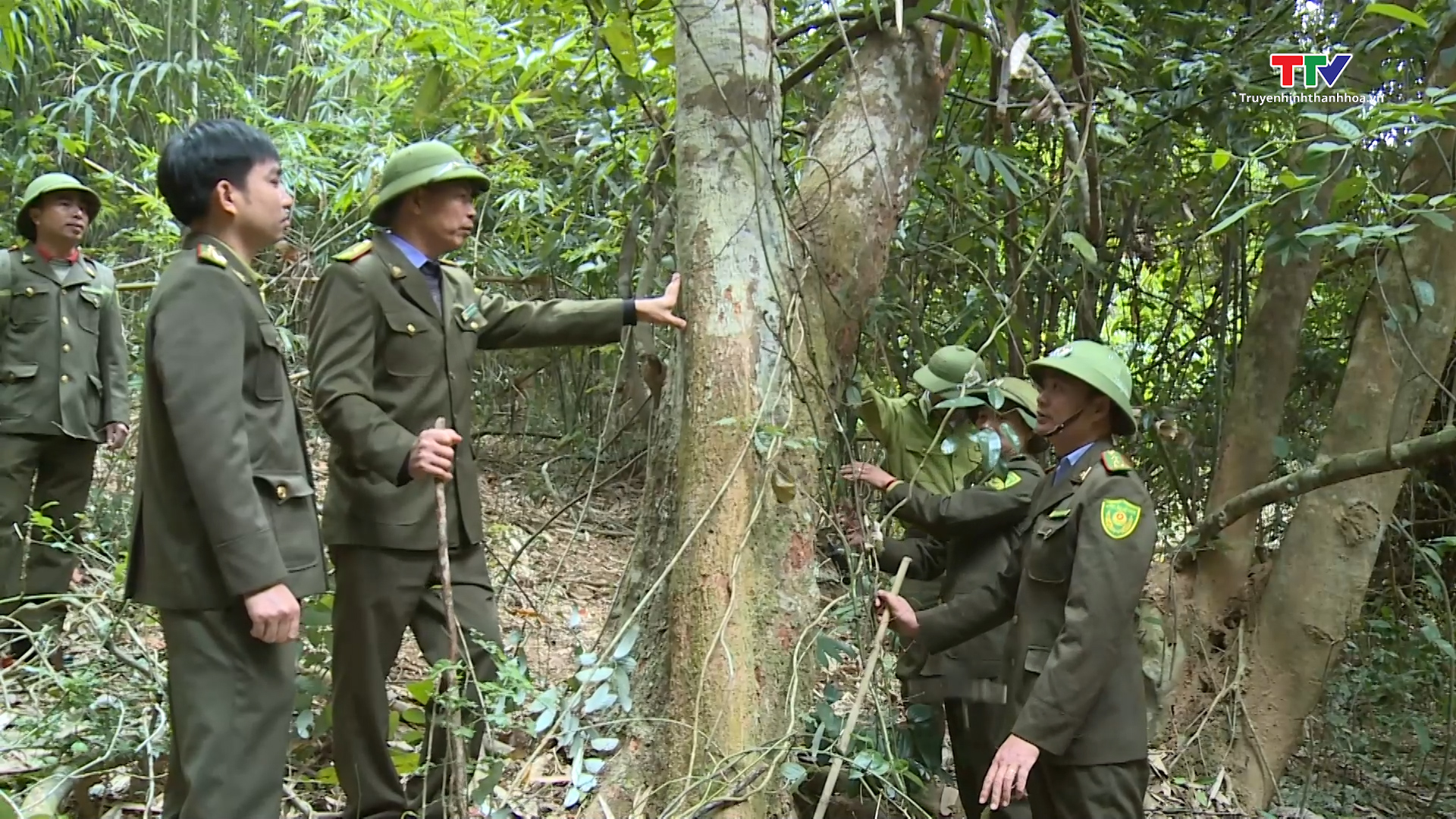 Lực lượng Kiểm lâm bám địa bàn bảo vệ rừng những ngày Tết- Ảnh 2.