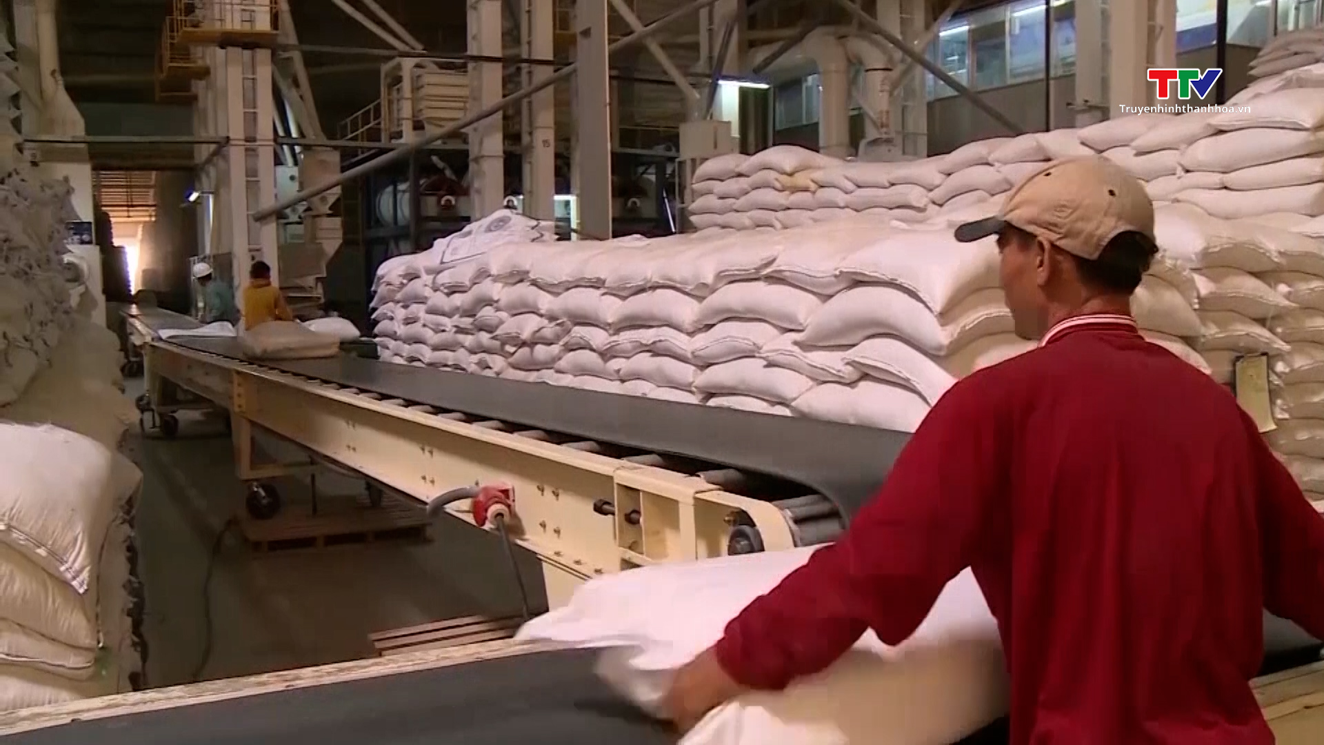 Việt Nam nắm giữ nguồn xuất khẩu gạo lớn thứ ba thế giới- Ảnh 1.