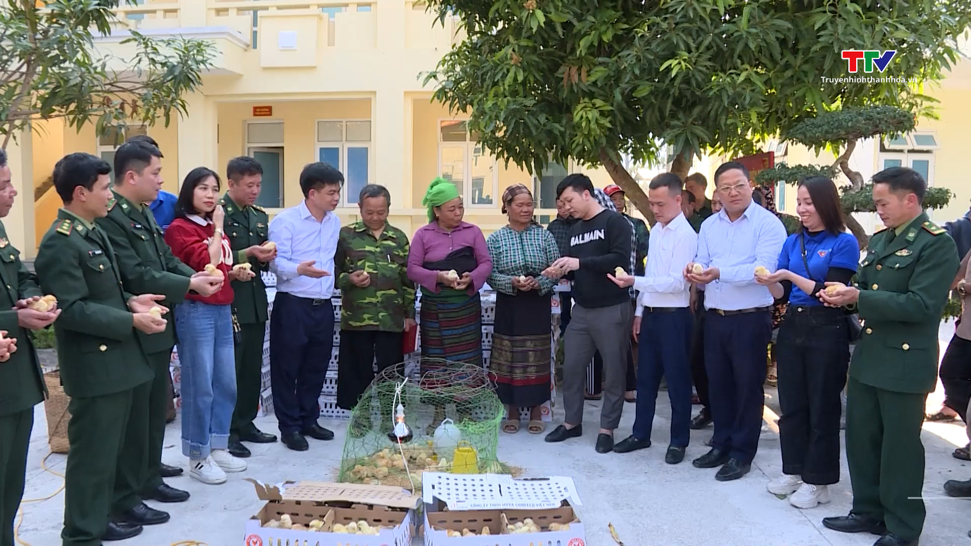 Hỗ trợ 4.000 con gà giống cho huyện Mường Lát- Ảnh 1.