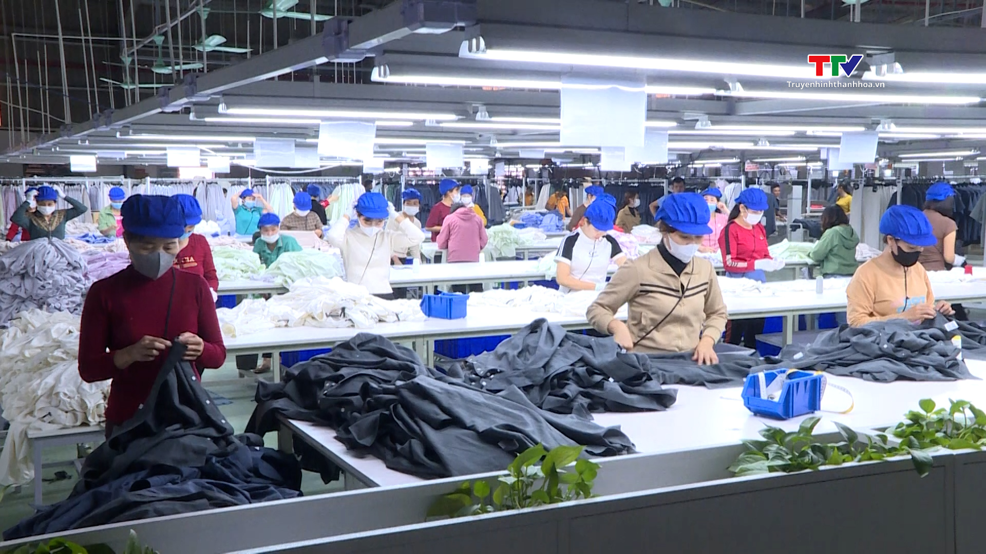 Tín hiệu tích cực từ đơn hàng xuất khẩu ngành dệt may- Ảnh 2.