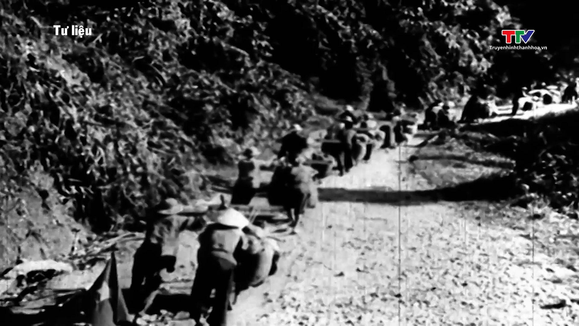 Dân công hoả tuyến và những kì tích anh hùng trong chiến dịch Điện Biên Phủ- Ảnh 3.
