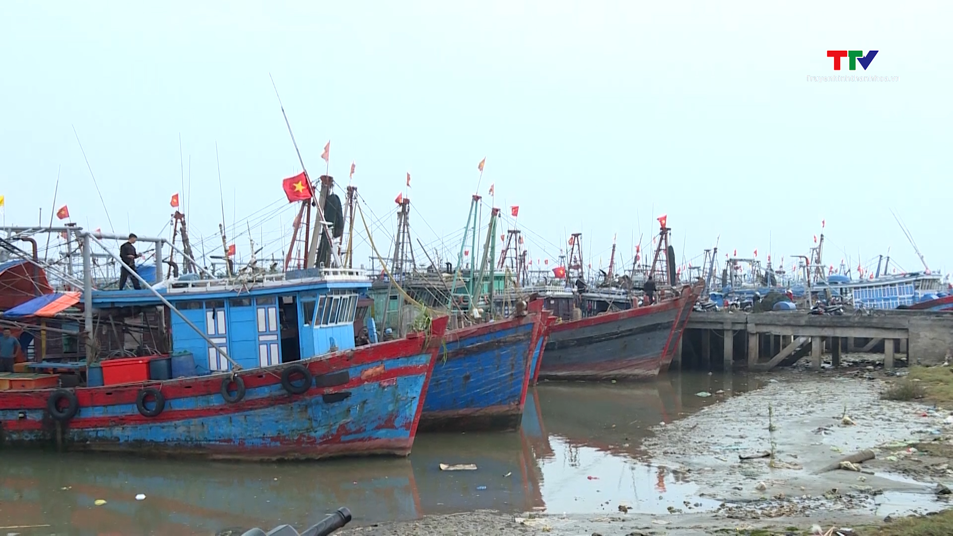 Tỷ lệ hải sản khai thác giám sát qua cảng cá ở Thanh Hoá đạt thấp- Ảnh 2.