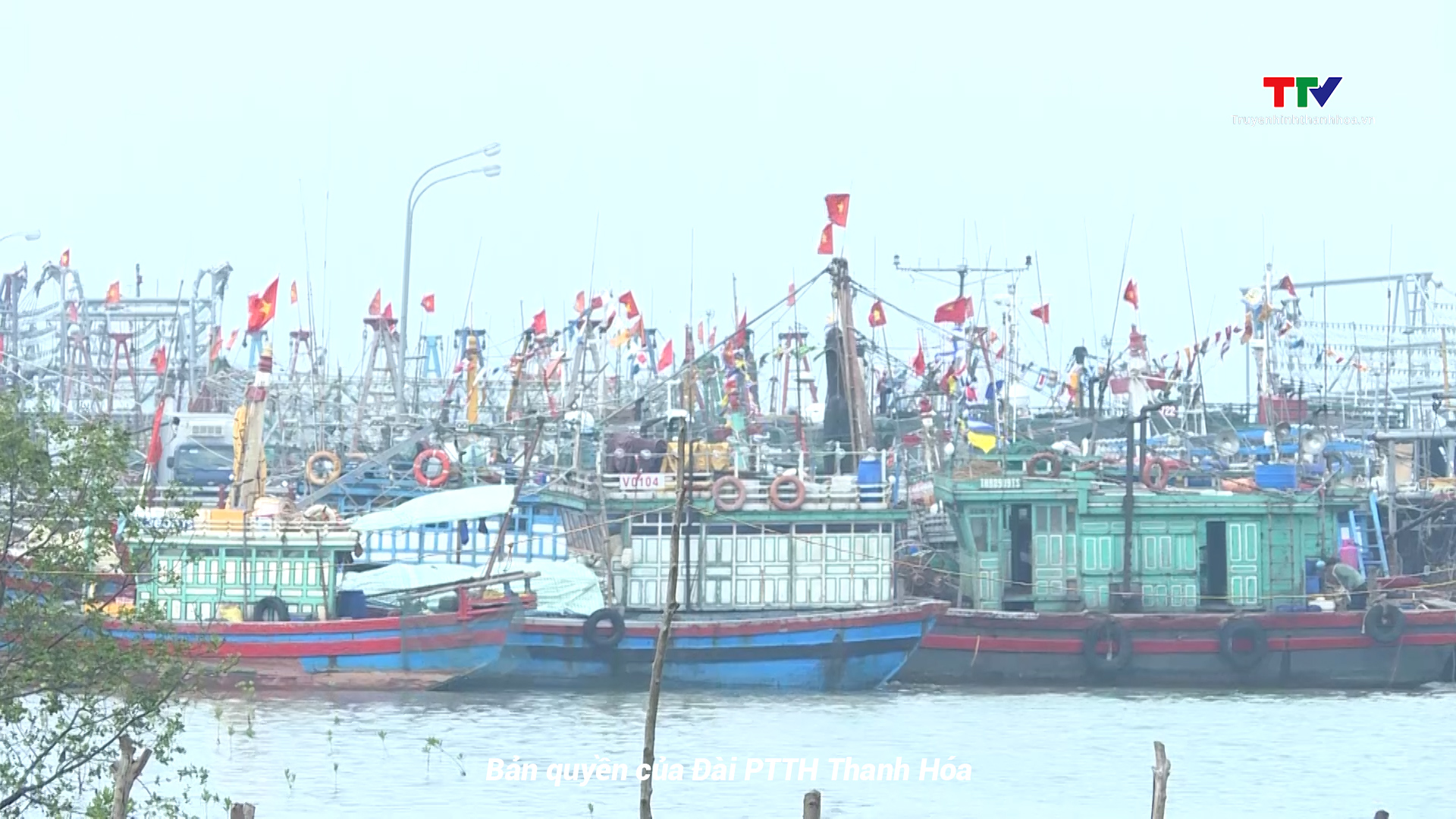 Tăng cường giám sát sản lượng thủy sản khai thác tại các cảng cá- Ảnh 4.