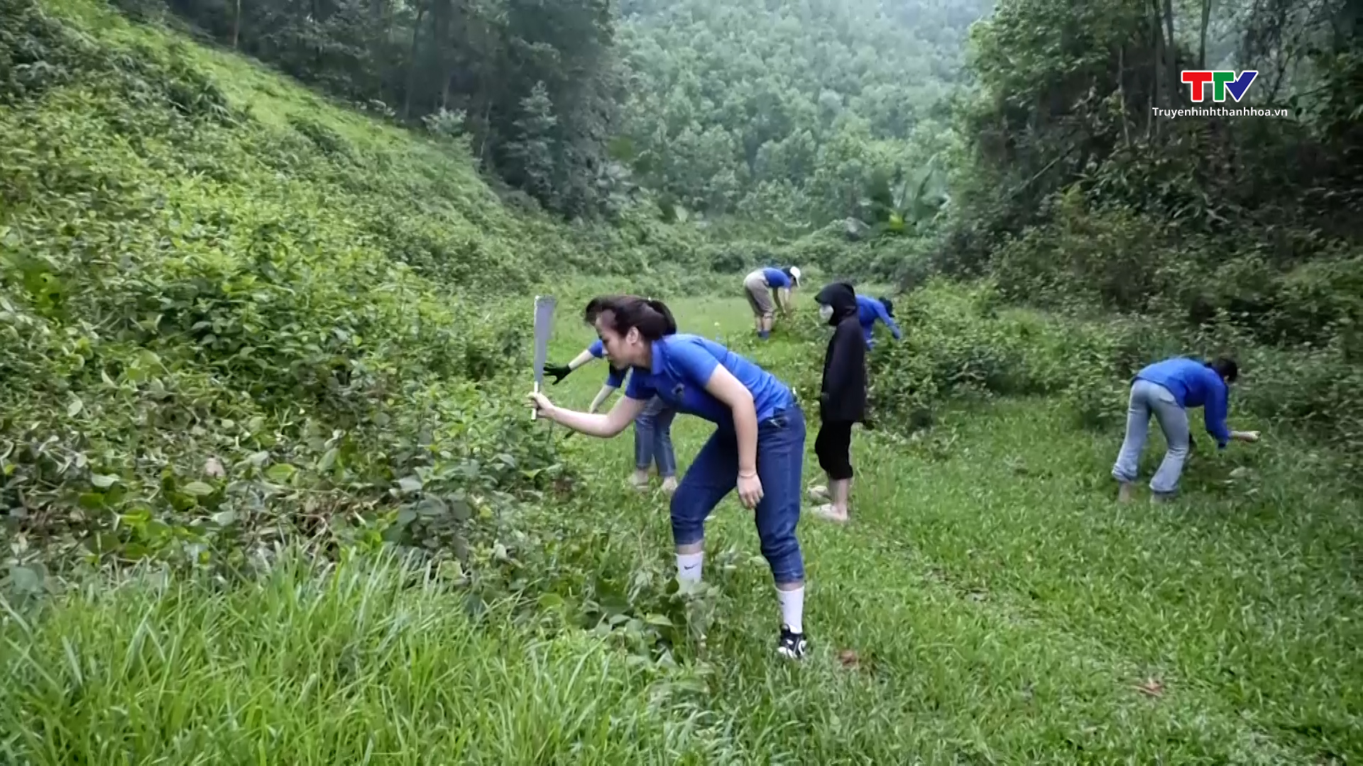 Thanh niên huyện Lang Chánh tham gia tình nguyện chăm sóc, bảo vệ rừng- Ảnh 1.