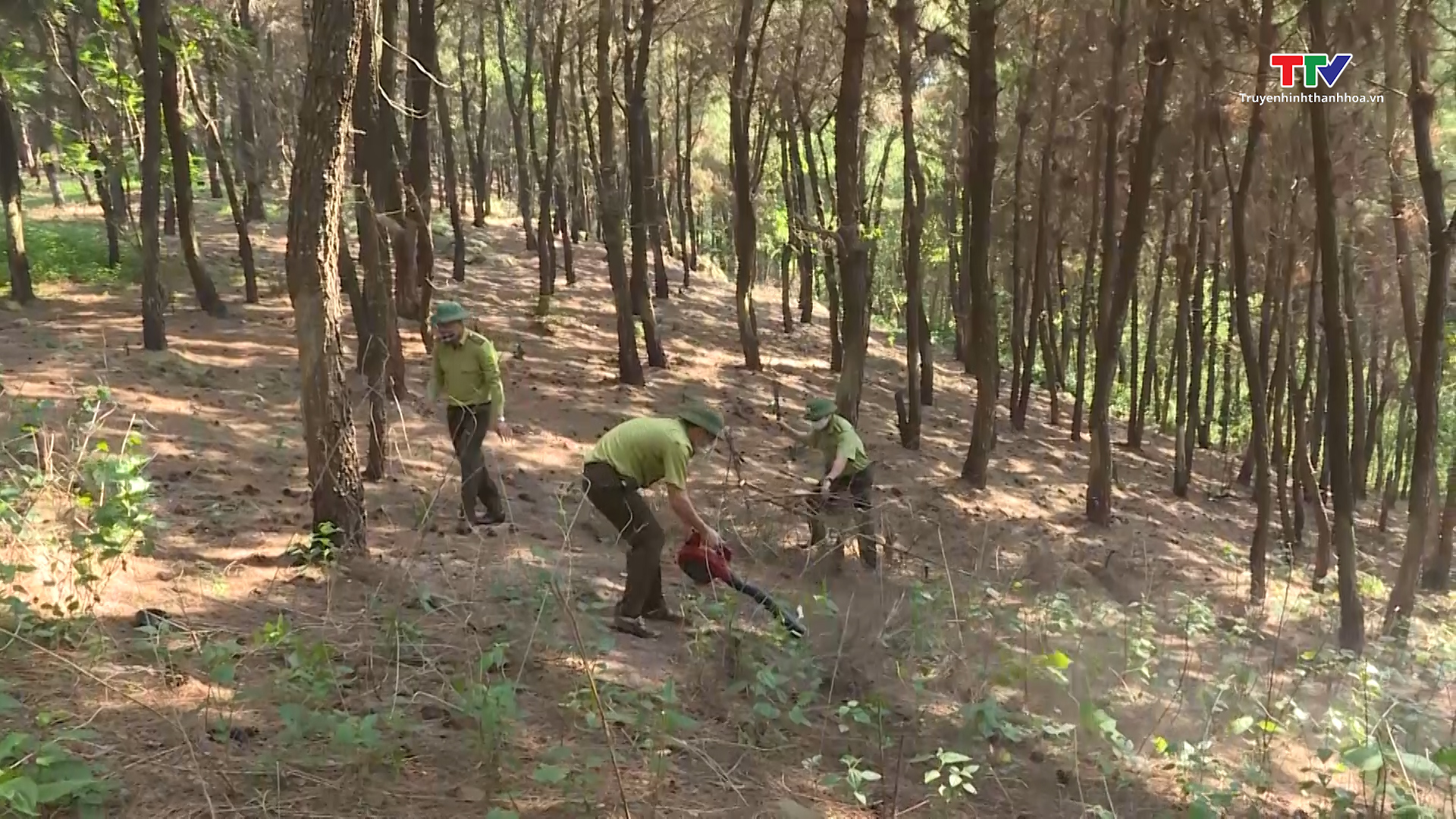 Nghiêm túc thực hiện Công điện chỉ đạo của Thủ tướng về phòng chống cháy rừng- Ảnh 1.