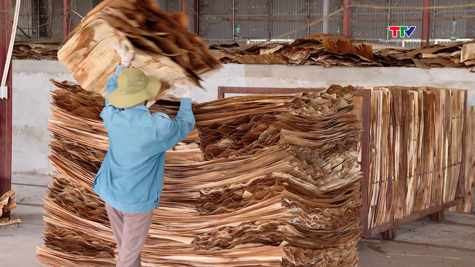 Doanh nghiệp chế biến gỗ nỗ lực tìm kiếm thị trường - Ảnh 3.