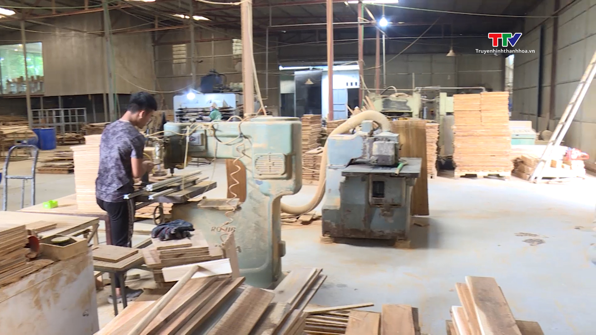 Doanh nghiệp chế biến gỗ nỗ lực tìm kiếm thị trường - Ảnh 6.