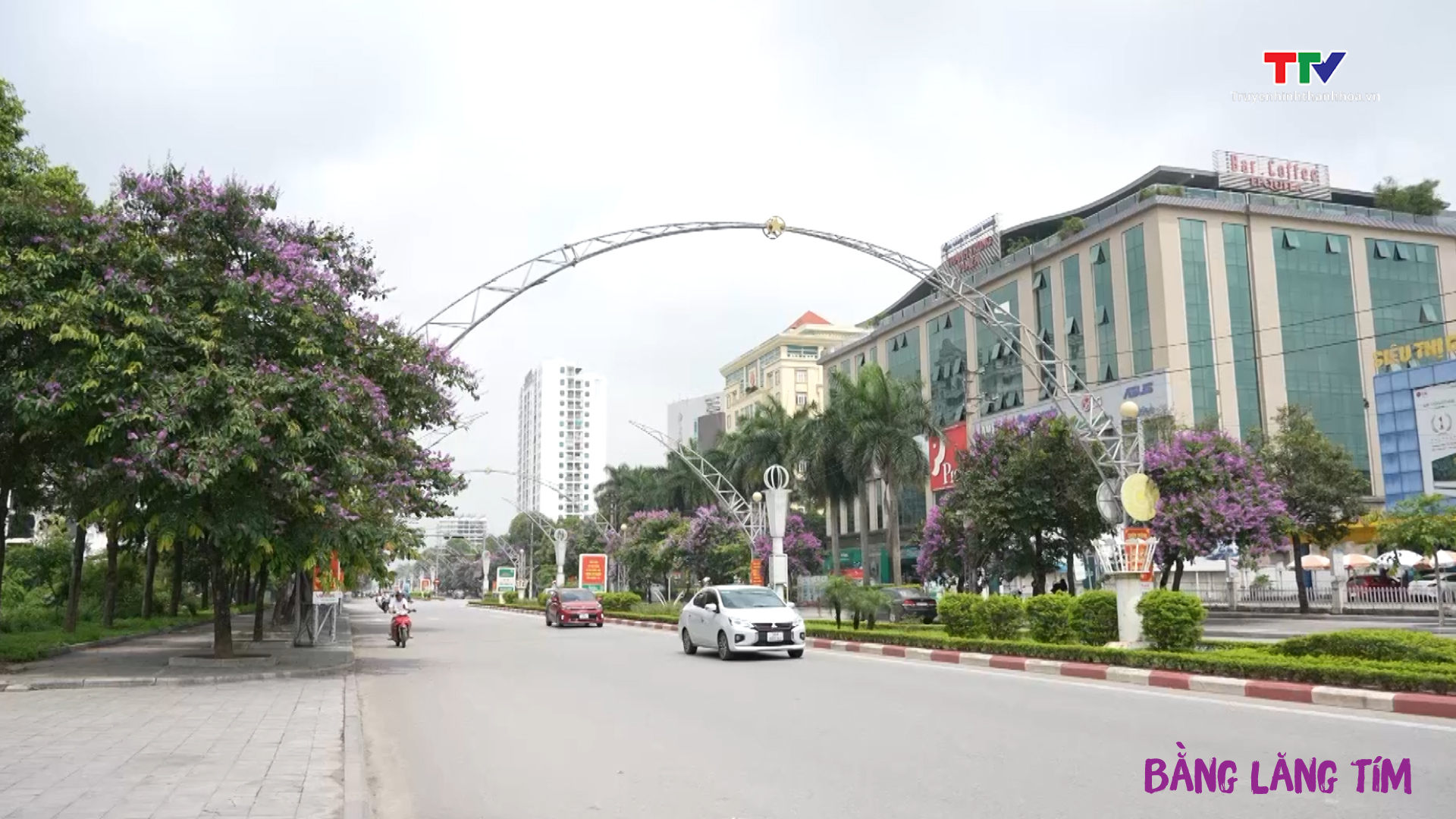 Thành phố Thanh Hoá: Sắc tím bằng lăng ngập tràn phố phường- Ảnh 2.