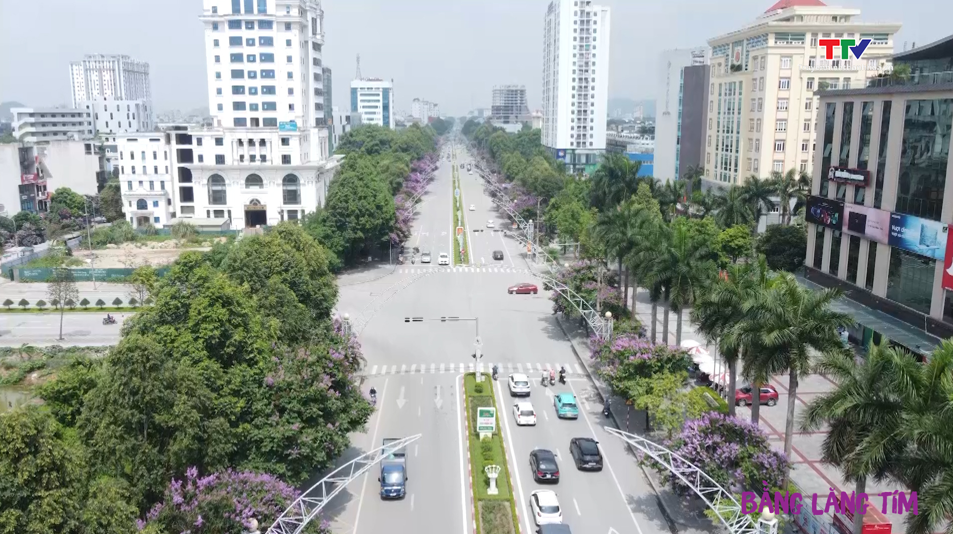 Thành phố Thanh Hoá: Sắc tím bằng lăng ngập tràn phố phường- Ảnh 7.