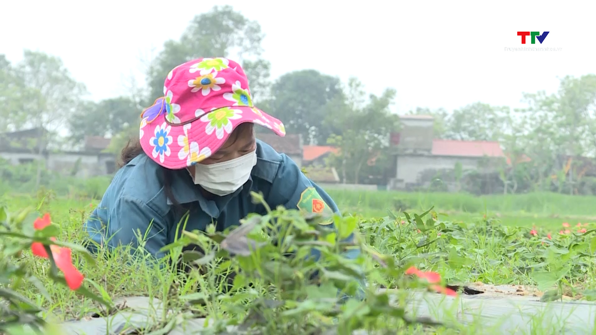 Hiệu quả từ phong trào nông dân sản xuất kinh doanh giỏi ở Vĩnh Lộc- Ảnh 4.