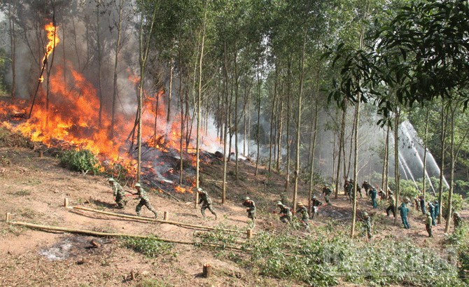 Thanh Hoá tiếp tục rà soát, thực hiện quyết liệt, hiệu quả các biện pháp cấp bách về phòng cháy, chữa cháy rừng trên địa bàn tỉnh- Ảnh 1.