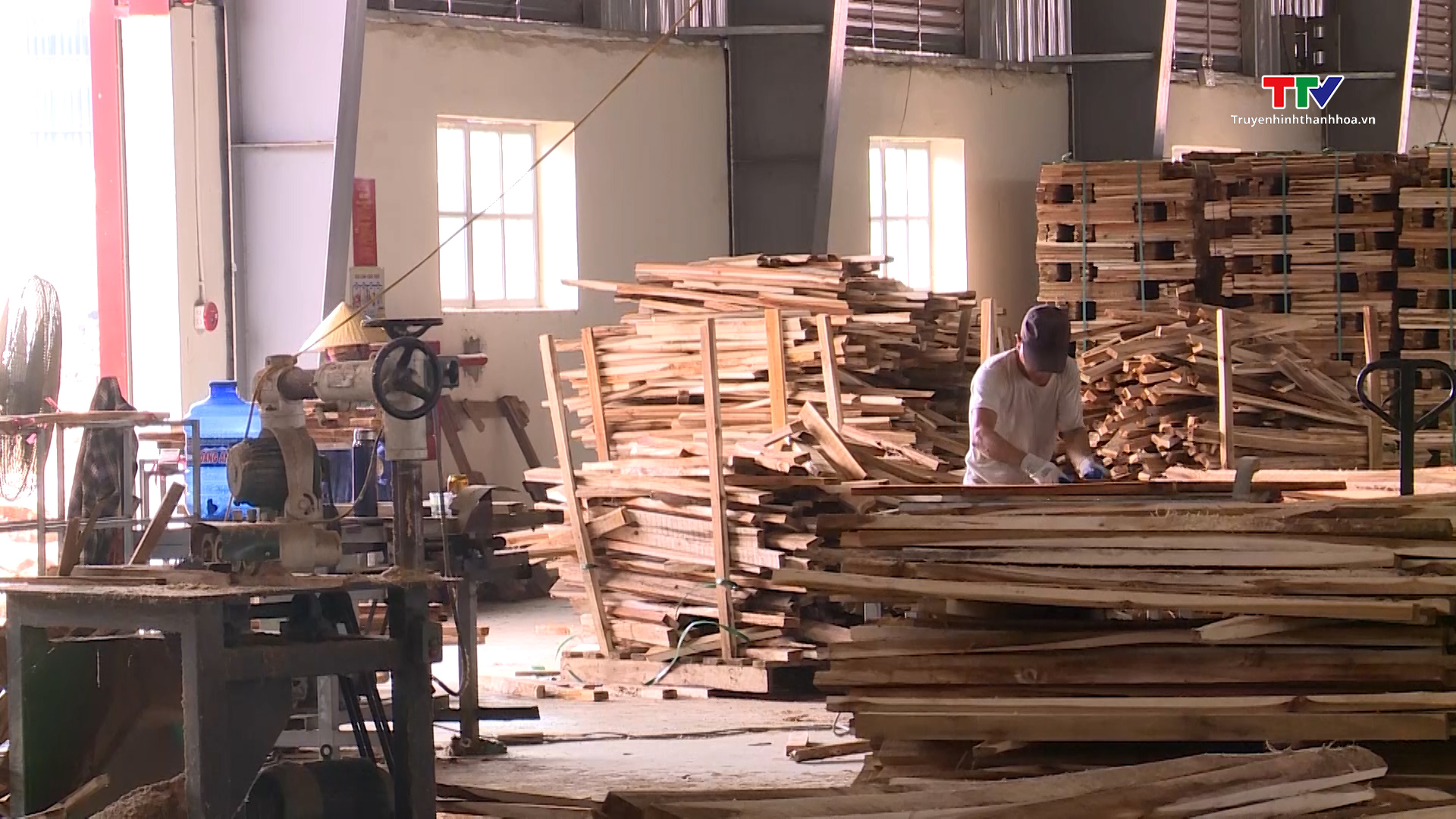 Thanh Hóa: Doanh nghiệp ngành gỗ đẩy mạnh sản xuất và xuất khẩu- Ảnh 1.