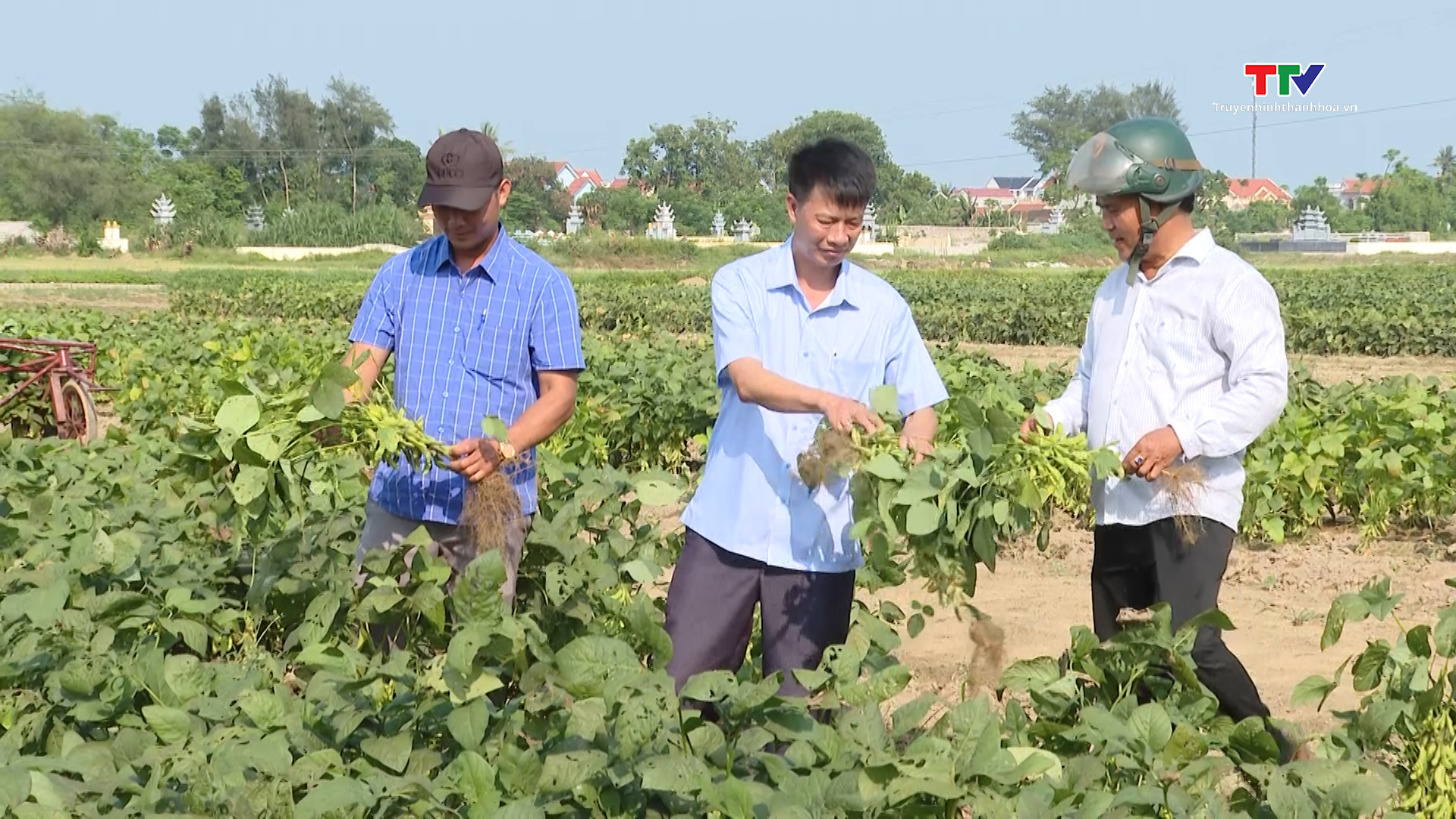 Vụ xuân 2024, Thanh Hóa chuyển đổi hơn 772 ha đất trồng lúa hiệu quả kinh tế thấp- Ảnh 1.