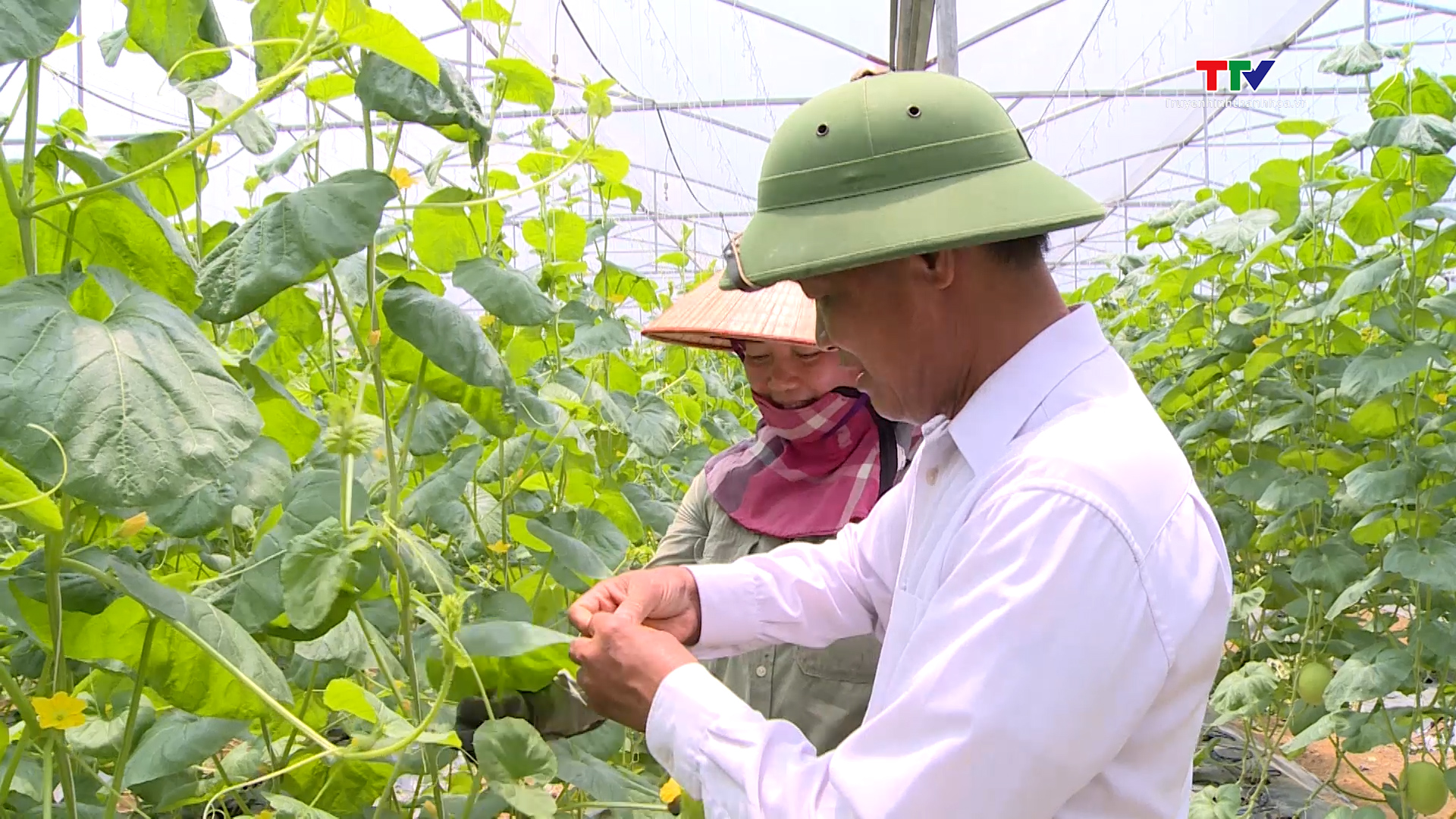 Hội Làm vườn và Trang trại Thanh Hóa góp phần nâng cao chất lượng, hiệu quả sản xuất nông nghiệp- Ảnh 8.