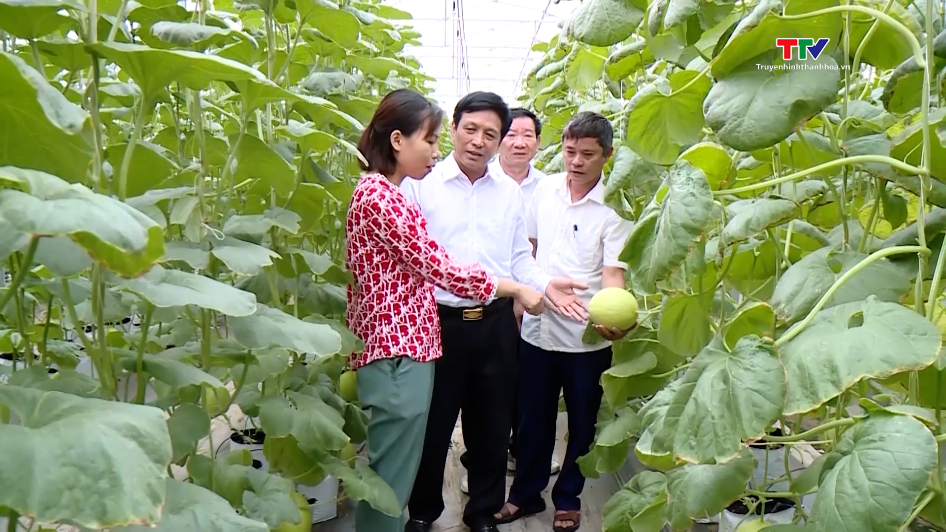 Hội Làm vườn và Trang trại Thanh Hóa góp phần nâng cao chất lượng, hiệu quả sản xuất nông nghiệp- Ảnh 6.