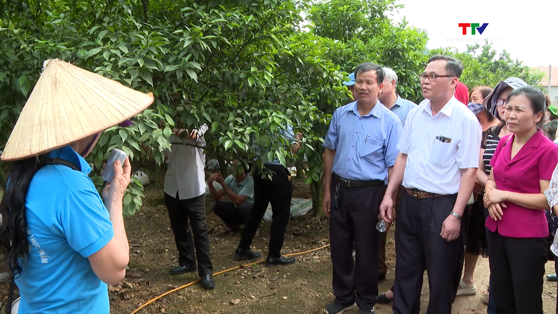 Hội Làm vườn và Trang trại Thanh Hóa góp phần nâng cao chất lượng, hiệu quả sản xuất nông nghiệp- Ảnh 1.