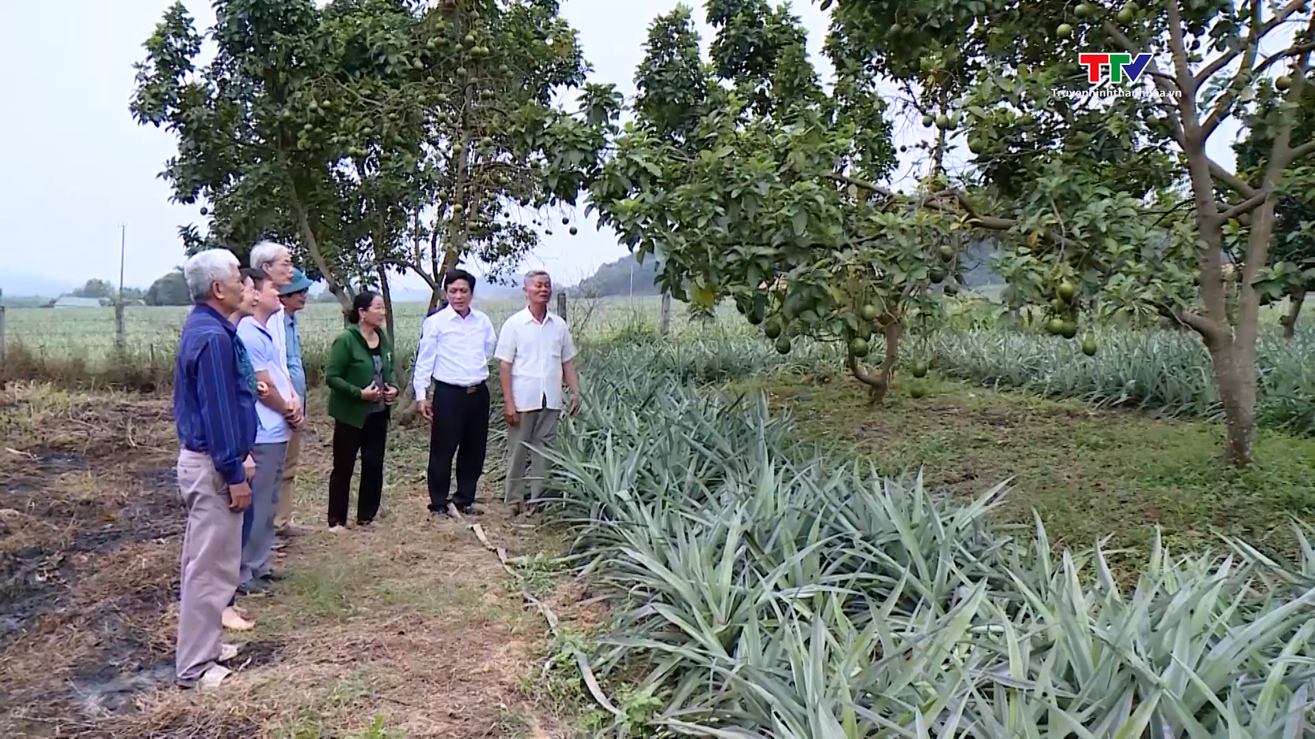 Hội Làm vườn và Trang trại Thanh Hóa góp phần nâng cao chất lượng, hiệu quả sản xuất nông nghiệp- Ảnh 14.