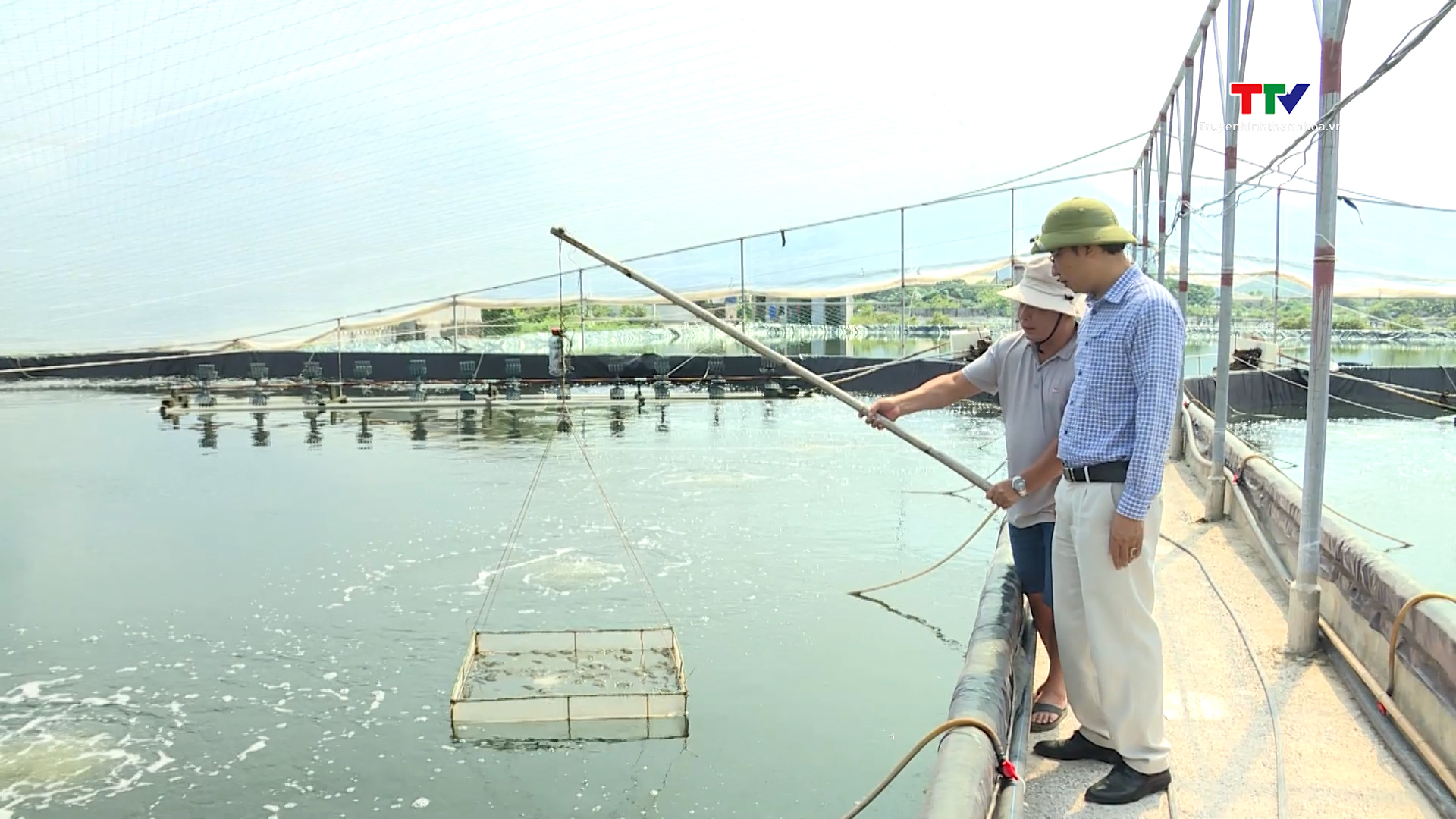 Ứng dụng công nghệ cao  trong nuôi trồng thủy sản- Ảnh 1.