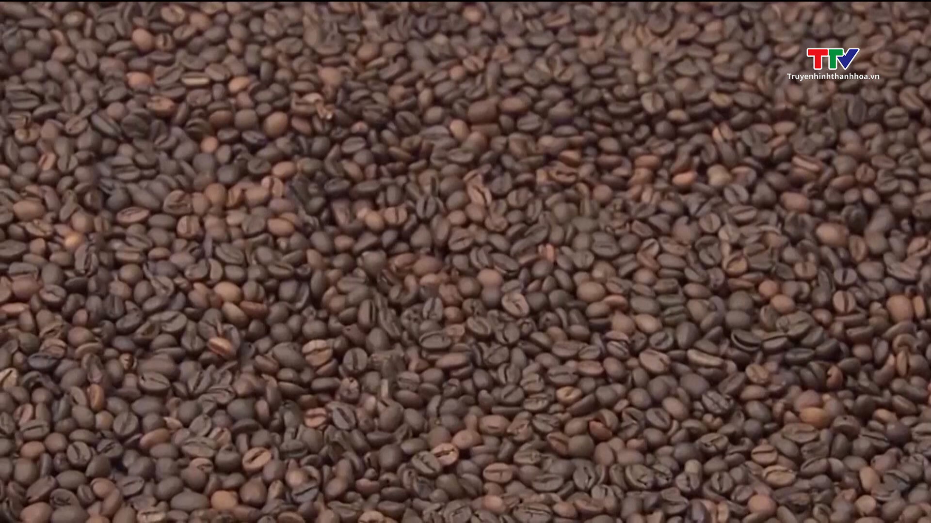 Việt Nam xuất khẩu khoảng 170.000 tấn cà phê trong tháng 4/2024- Ảnh 1.