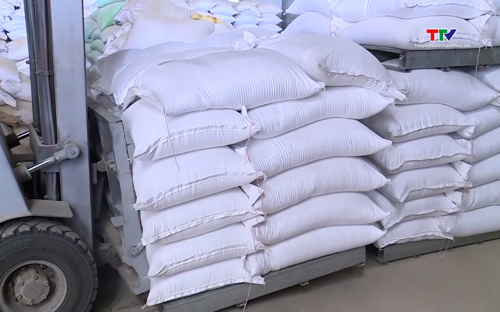 Đề xuất lập lại giá sàn xuất khẩu gạo