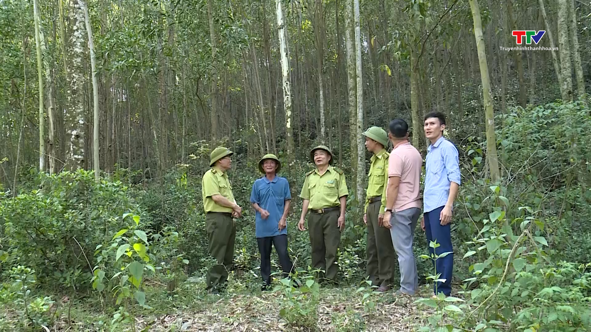 Tăng cường các giải pháp phòng cháy chữa cháy rừng phòng hộ ven biển- Ảnh 4.