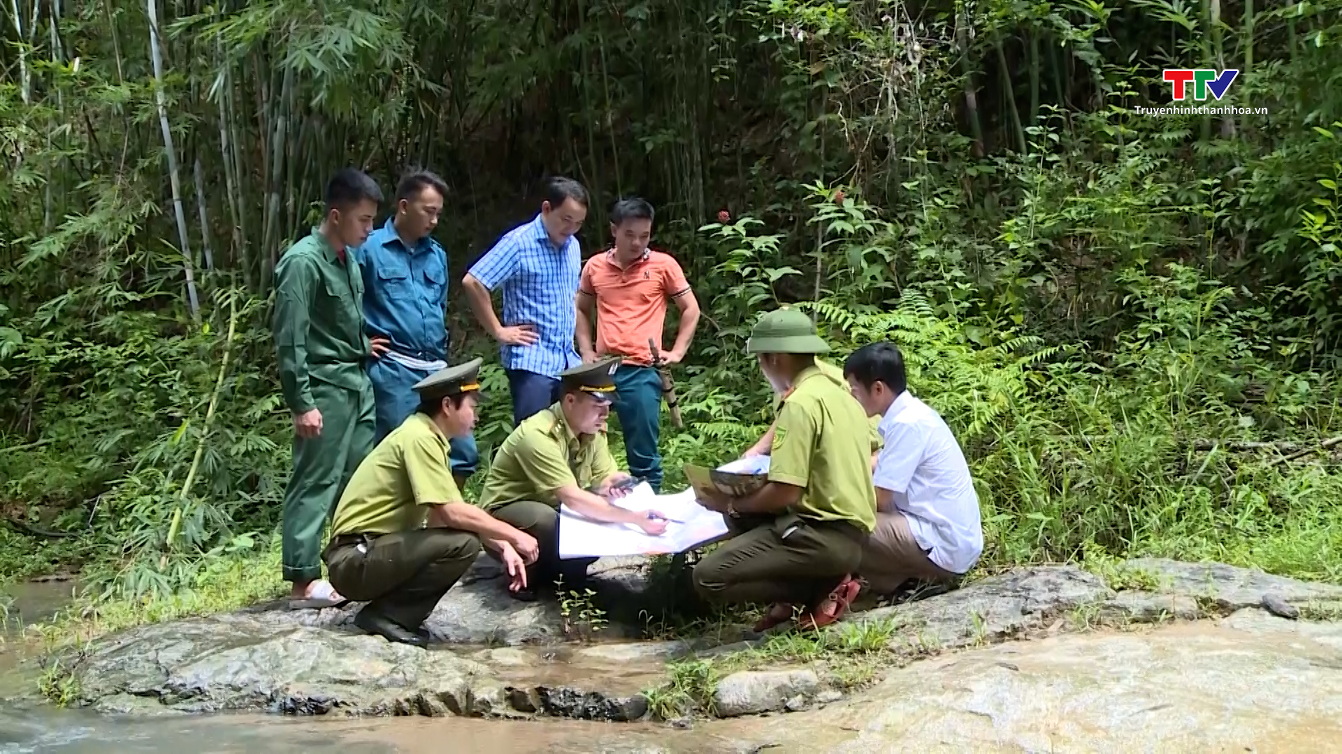 Dịch vụ môi trường rừng góp phần bảo vệ môi trường sinh thái- Ảnh 2.