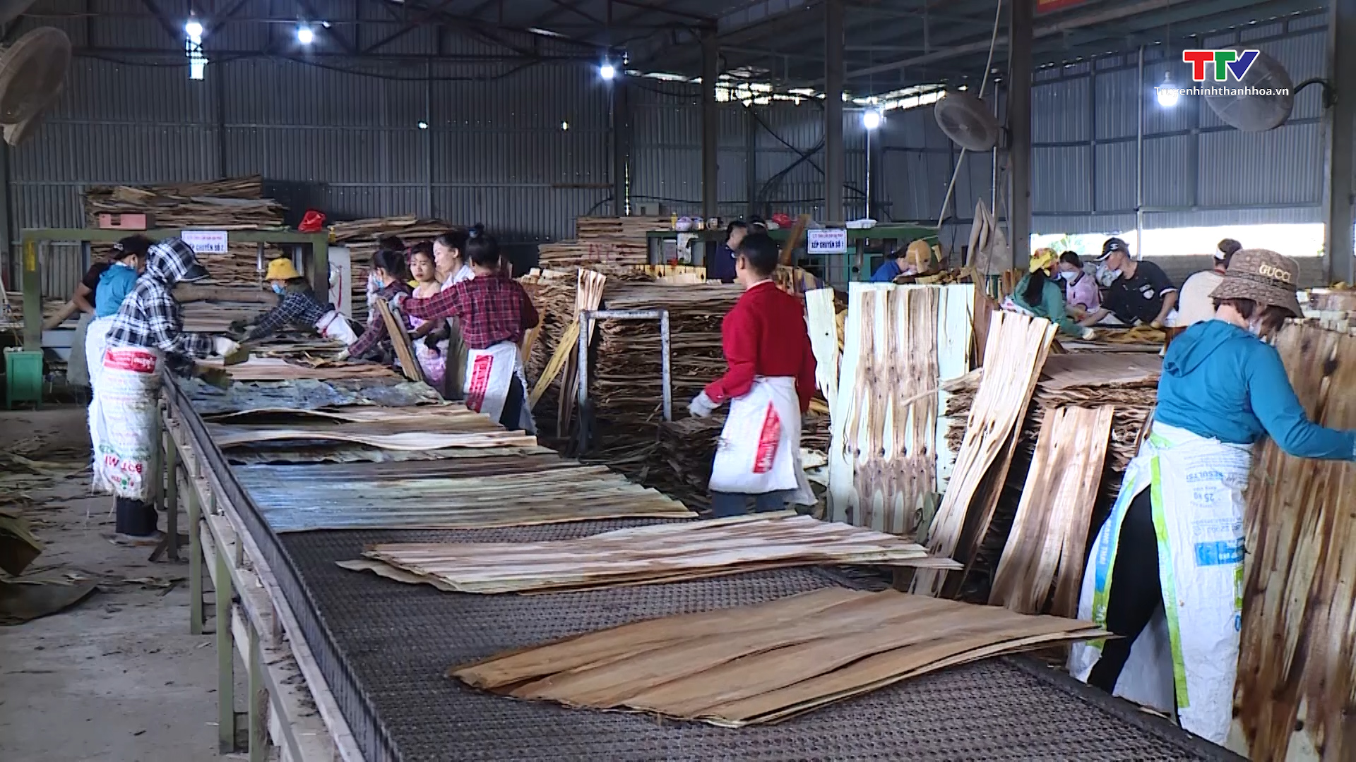 Doanh nghiệp ngành gỗ Thanh Hoá đón nhận tín hiệu tích cực về đơn hàng- Ảnh 2.