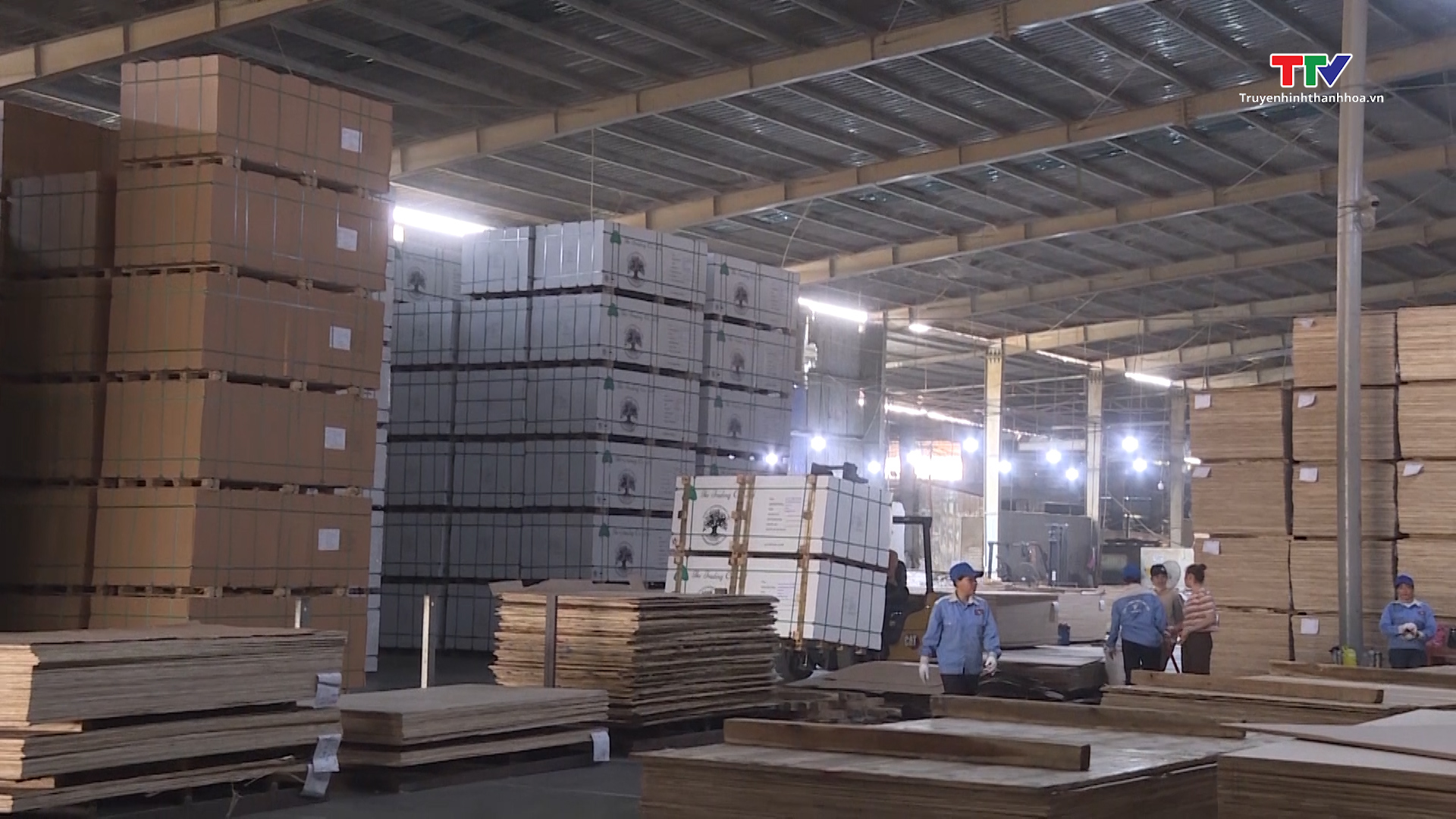 Doanh nghiệp ngành gỗ Thanh Hoá đón nhận tín hiệu tích cực về đơn hàng- Ảnh 1.