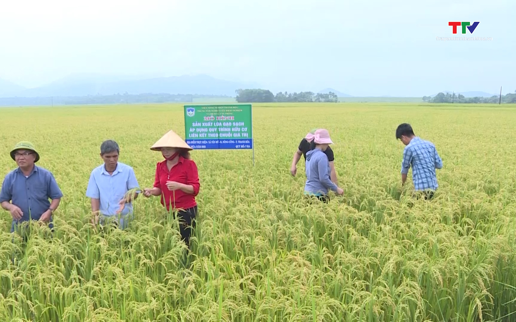 Sử dụng phân bón hữu cơ, hướng tới nền nông nghiệp an toàn